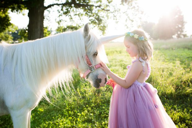 HPK Creative Arts Specializing in unicorn shoots